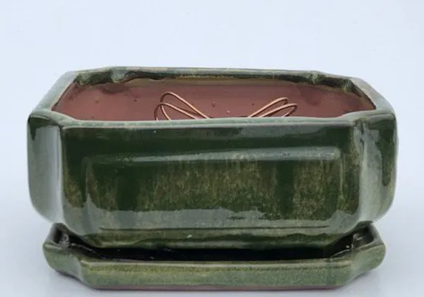 Wood-lawn Green Ceramic Bonsai Pot, Rectangle with Attached Humidity/Drip tray 8" x 6" x 4"