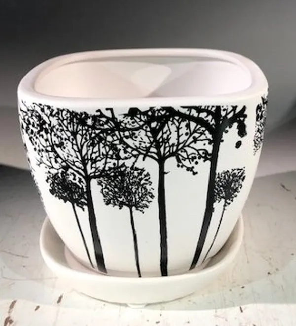 Tree Silhouette Bonsai Pot, Square With Attached Humidity / Drip Tray 4.5" x 4.5" x 4"
