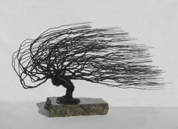 Wire Bonsai Tree Sculpture, Windswept Style