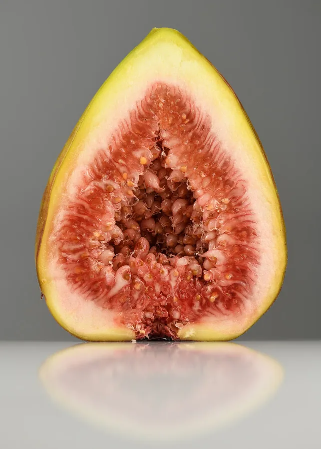 Fig (Common / Edible Fig) — Fruit / seed