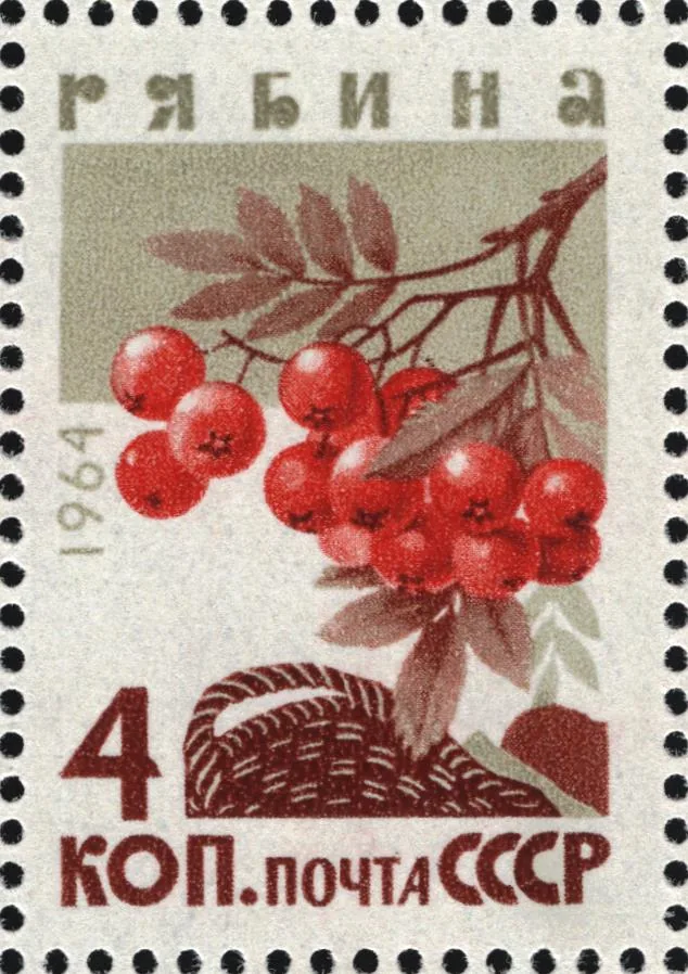 Rowan — Fruit / seed