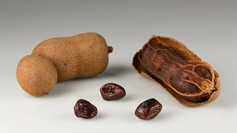 Tamarind — Fruit / seed